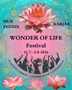 WONDER OF LIFE FESTIVAL TICKET 2026
