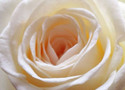 The Feminine Way - A Voice and Healing Retreat