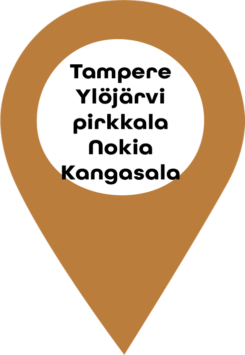 Tampere, Ylöjärvi, Pirkkala, Nokia, Kangasala
