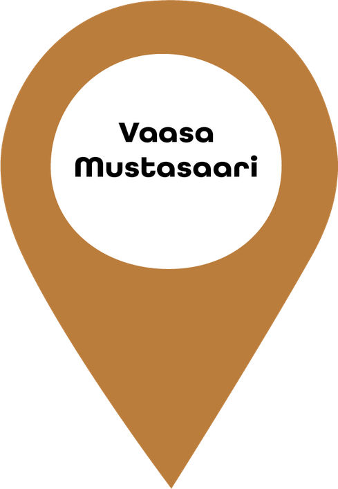Vaasa, Mustasaari