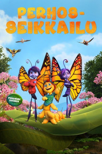 PERHOSSEIKKAILU DVD