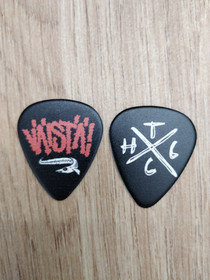 Plektrat (2-puoleinen painatus)