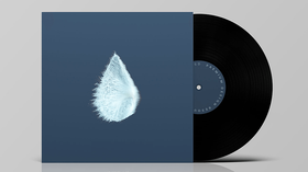 12'' Vinyl records (small batch 1 - 10 kpl)