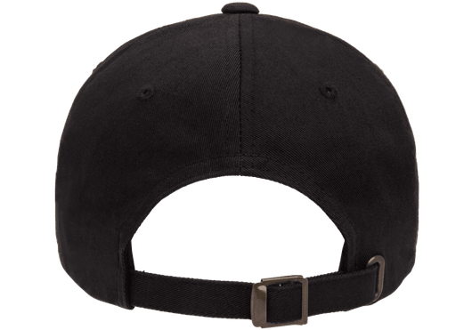 Ambassadors of Eternity - Cap