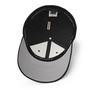 Vaasa Palaa - Premium Flexfit cap