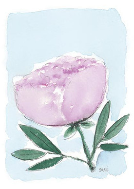 KORTTI, Pioni vaal.pun., 2-osainen