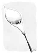 KORTTI A7, Kalla harmaa, Lämmin Osanotto,2-os pakettikortti