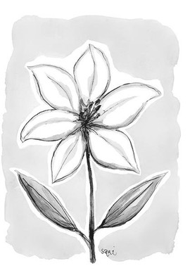 ADRESSI, Lilja musta/valk