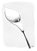 ADRESSI, Kalla musta/valk