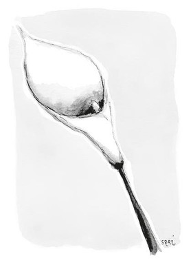 ADRESSI, Kalla musta/valk