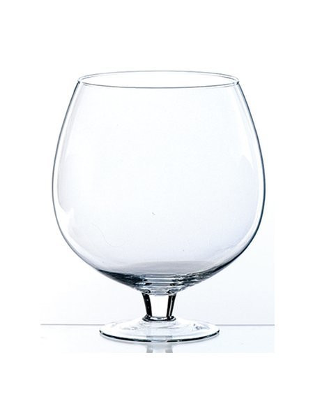 KONJAKKIMALJA, 24 CM
