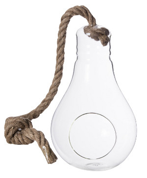 HANGING LIGHT BULB ISO