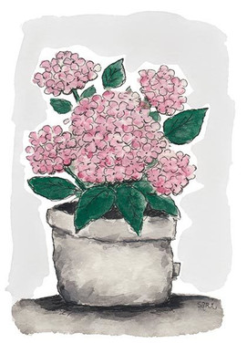 KORTTI, hortensia ruukussa vaal.pun, 2-osainen