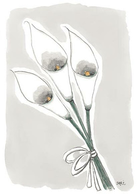 ADRESSI, Kalla värillinen