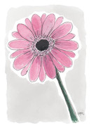 KORTTI, Gerbera vaal.pun, 2-osainen