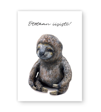 NENNI & FRIENDS JULISTE, ERKKI-LAISKIAINEN