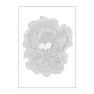 KORTTI, ENKELIN HALAUS, 2-OSAINEN