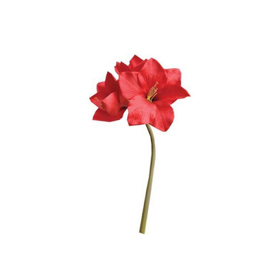AMARYLLIS, PUNAINEN, 67 CM