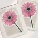 KEITTIÖLIINA GERBERA