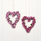 MARJASYDÄN, LAJITELMA 14 CM