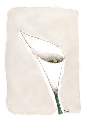 ADRESSI, Kalla beige