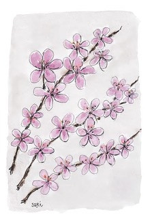 KORTTI, kirsikankukka, 2-osainen