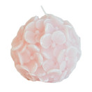 KUKKAKYNTTILÄ, VAALEANPUNAINEN 10 cm