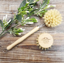 TISKIHARJA JA VAIHTOPÄÄ, BAMBUA