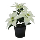 JOULUTÄHTI RUUKKU, VALKOINEN 23 cm