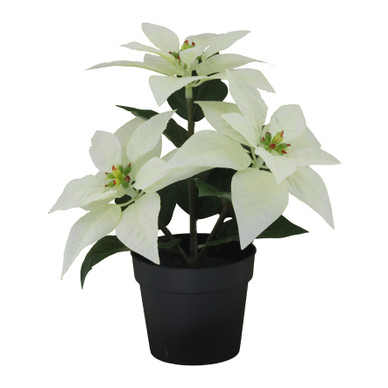 JOULUTÄHTI RUUKKU, VALKOINEN 23 cm