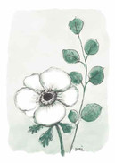 KORTTI, anemone ja eukalyptus-oksa, LÄMMIN OSANOTTO, 2-osainen