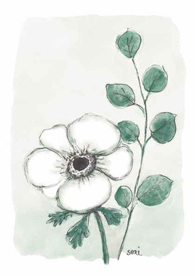 KORTTI, anemone ja eukalyptus-oksa, LÄMMIN OSANOTTO, 2-osainen