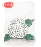 KORTTI, valkoinen hortensia, LÄMMIN OSANOTTO, 2-osainen