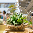 LASIPALLO, Roikkumaan/pöydälle Ø 22 cm