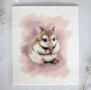 TISKIRÄTTI, HIPSU-HAMSTERI