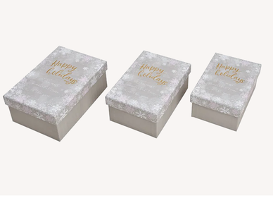 LAHJALAATIKKO, HOPEA - KESKIKOKO 19x8x13cm