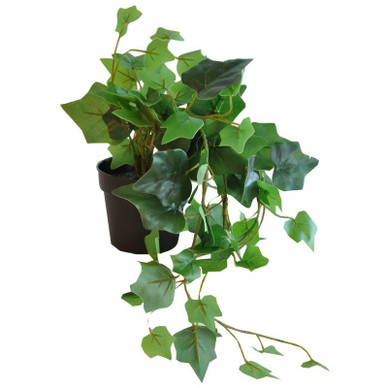 MURATTI RUUKUSSA, 50cm