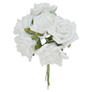 RUUSUKIMPPU VALKOINEN