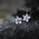 LEINIKKI-KORVAKORUT, VAALEANPUNAINEN 