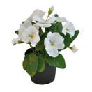 ORVOKKI RUUKUSSA, VALKOINEN 20cm