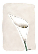 KORTTI A7, kalla beige, LÄMMIN OSANOTTO, 2-os. pakettikortti