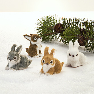 KANI, TEKOTURKIS - 4 ERILAISTA