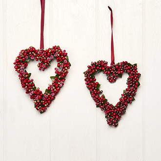 MARJASYDÄN, LAJTIELMA 14 cm