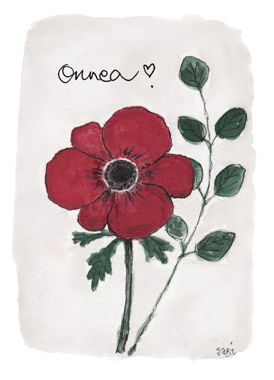 KORTTI A6, Anemone, PAPALLE, 2-osainen