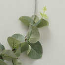 EUCALYPTUSKRANSSI 31 cm