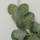 EUCALYPTUSKRANSSI 31 cm