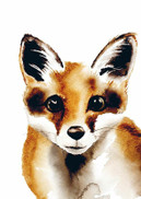 POSTIKORTTI A6, Kettu