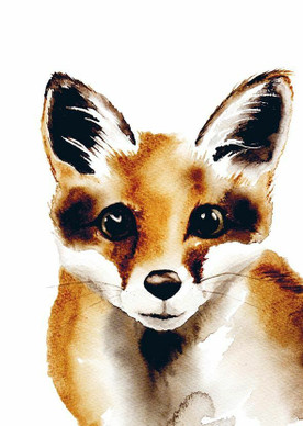 POSTIKORTTI A6, Kettu