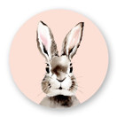 JÄÄKAAPPIMAGNEETTI, Jänis 56 mm