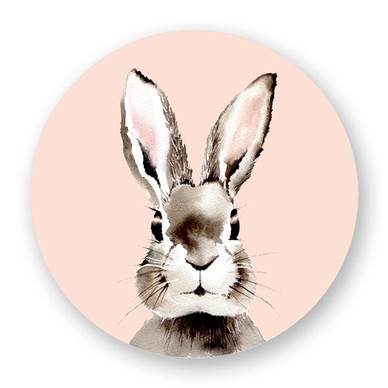 JÄÄKAAPPIMAGNEETTI, Jänis 56 mm